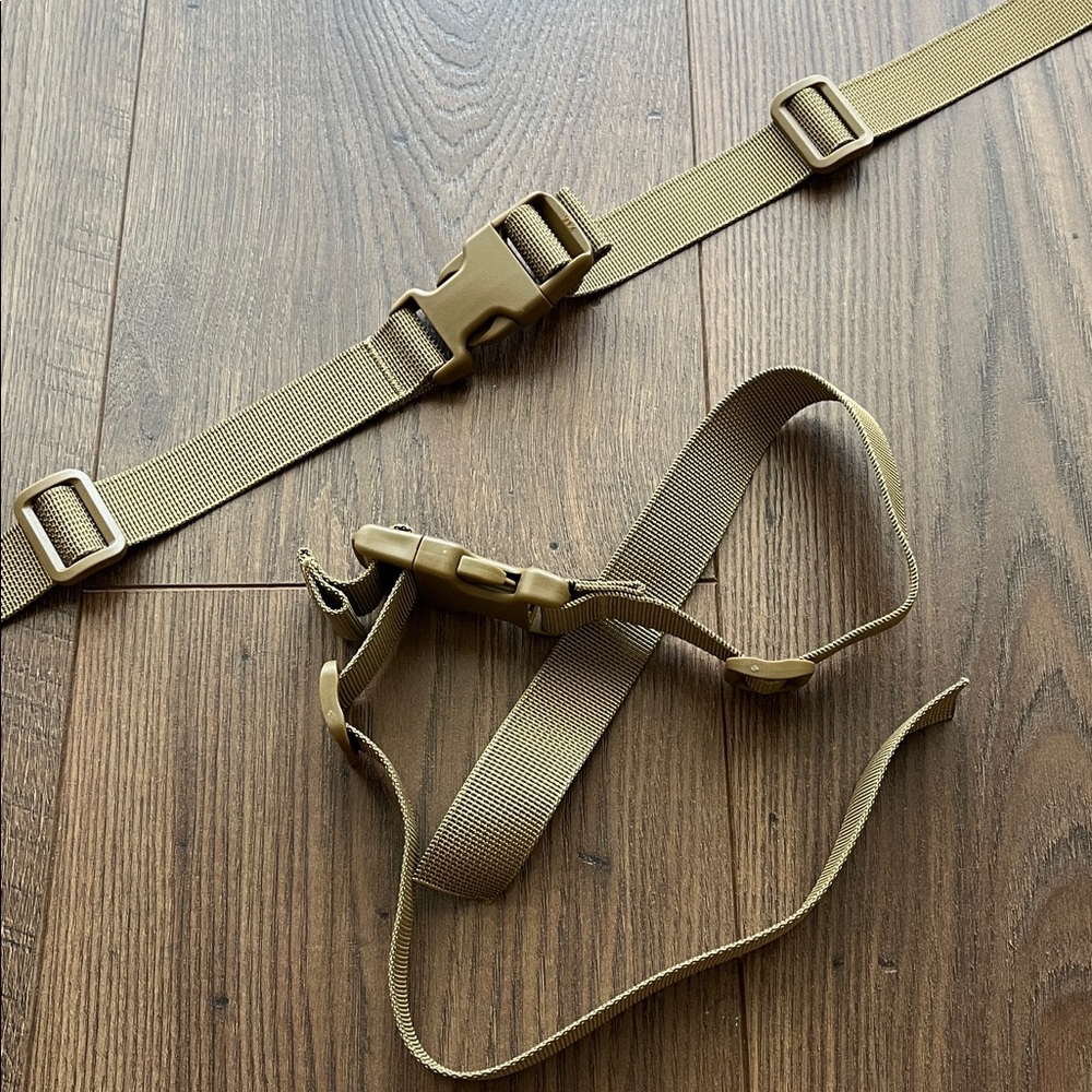 Bag Straps with Buckle